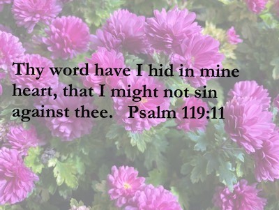 Thy word have I hid in mine heart, that I might not sin against thee. Psalm 119;11