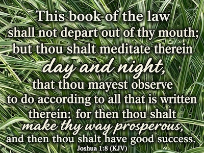 This book of the law shall not depart out of thy mouth; but thou shalt meditate therein day and night, that thou mayest observe to do according to all that is written therein: for then thou shalt make thy way prosperous, and then thou shalt have good success. Joshua 1:8